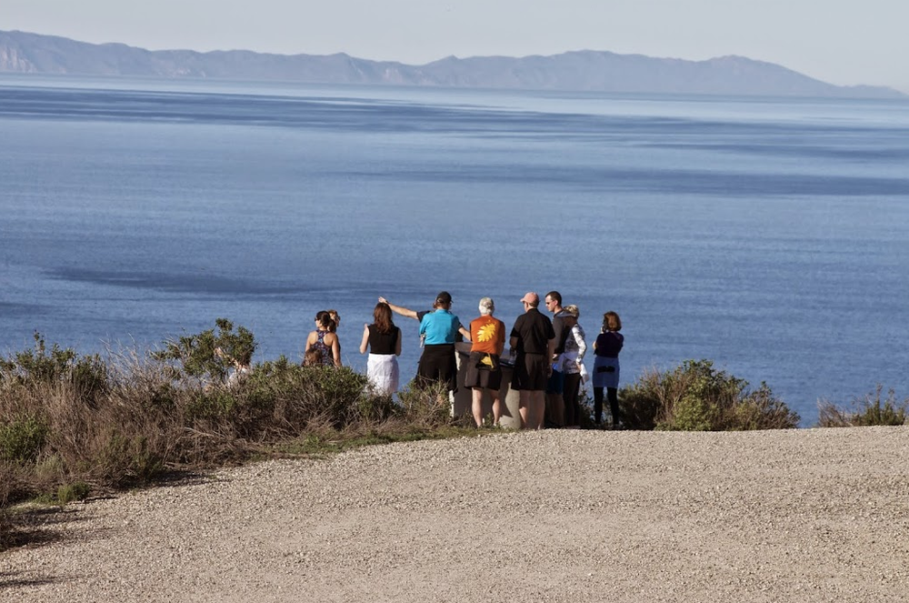 Laguna Beach Hike photo 4